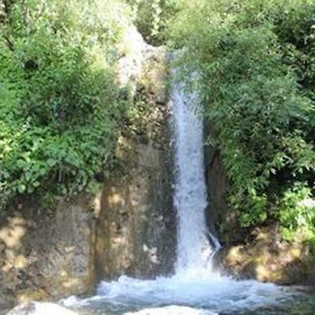 Raas Hotel Mussoorie Dış mekan fotoğraf